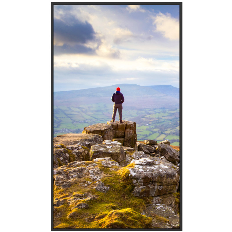 SHARP MultiSync PN-E329 80cm (31,5") 1920x1080 HDMI/USB-C informacijski monitor - slika 2