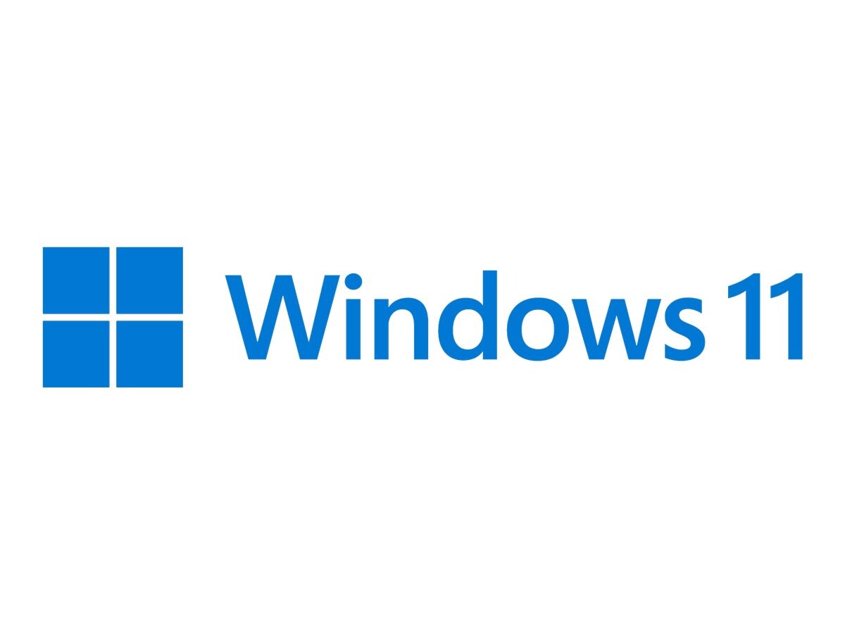 MS DSP Win 11 Pro 64Bit DVD OEM (SL)